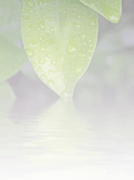 wellness-pond